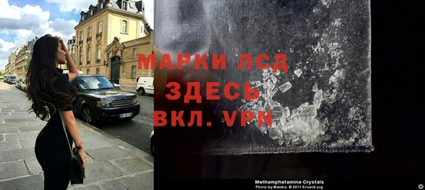 сатива Беломорск