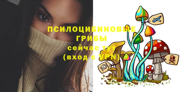ГАЛЛЮЦИНОГЕННЫЕ ГРИБЫ Баксан